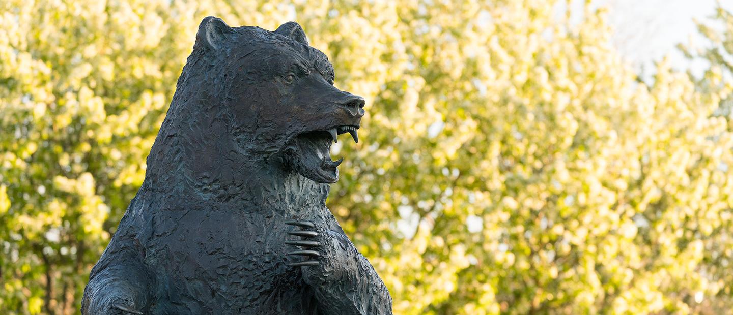 校园里灰熊雕像的照片.